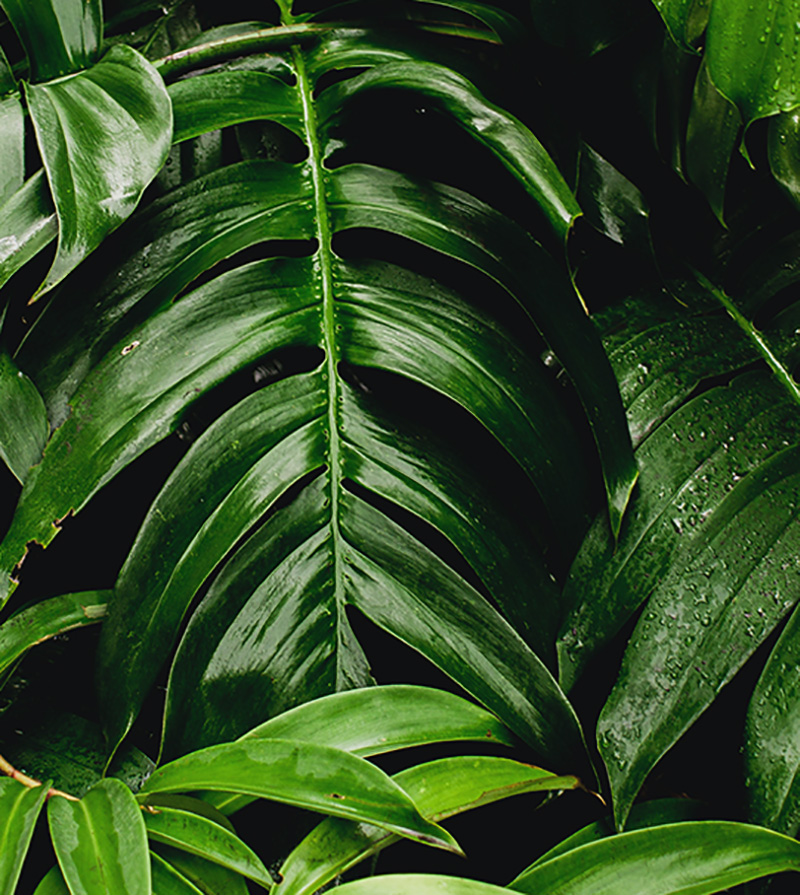 Our Sustainability | Akemi Uchi