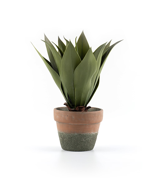 Green Aesthetics Agave Faux Plant